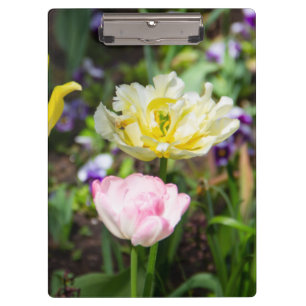Weiße, rosa und gelbe Tulpen im Garten Klemmbrett