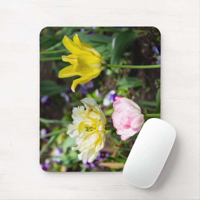Weiße, rosa und gelbe Tulpen im Garten Mousepad (Mit Mouse)