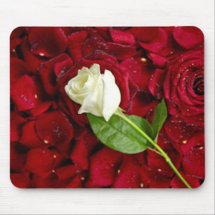 Weiße Rose auf roten Blumenblättern Mousepad