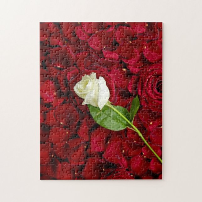 Weiße Rose auf roten Blumenblättern Puzzle (Vertikal)