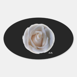 Weiße Rose auf schwarz-ovalem Aufkleber