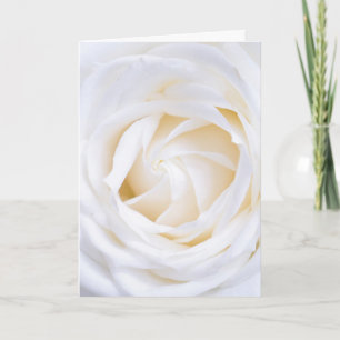 "WEISSE ROSE" FLORAL GREETCARD KARTE