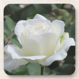 Weiße Rose Getränkeuntersetzer