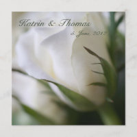 Weiße Rose • Hochzeits-Einladung