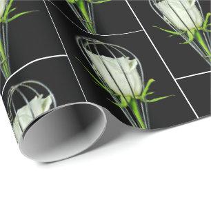 Weiße Rose in Drahtwein Geschenkpapier