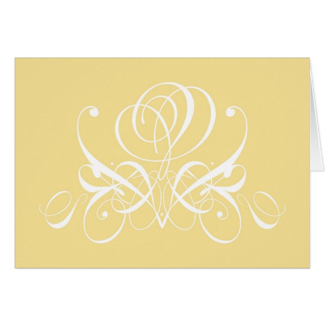 Weiße Rose in Sunshine (Vorderseite (Horizontal))