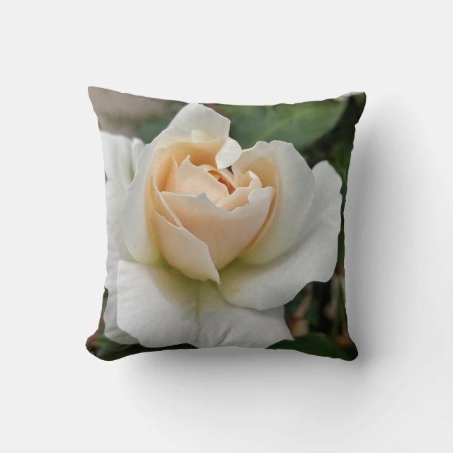 Weiße Rose Kissen (Vorderseite)