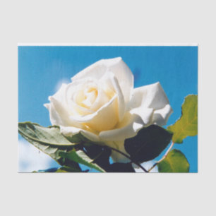 Weiße Rose - Leben feiern Seidenpapier