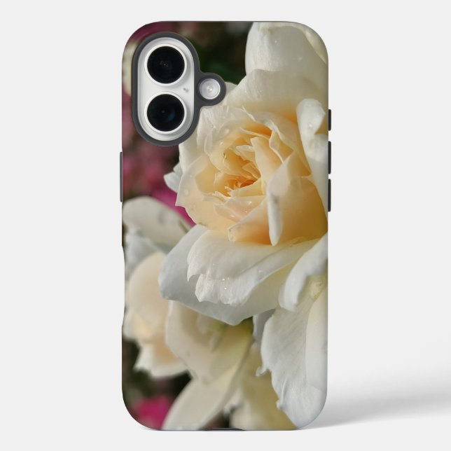 Weiße Rose mit Regentropfen Case-Mate iPhone Hülle (Rückseite)