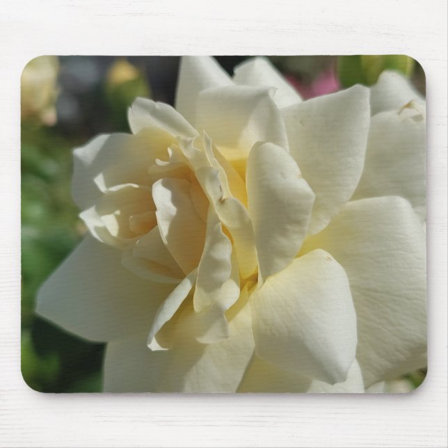 Weiße Rose Mousepad (Vorne)