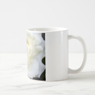 Weiße Rose Tasse