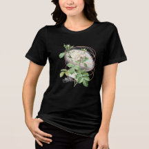 Weiße Rose