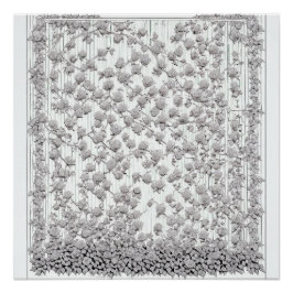 Weiße Rosen A Poster