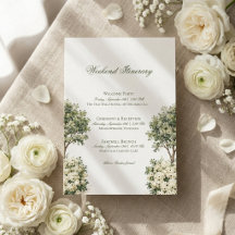 Weiße Rosen-Aquarell-Weingut-Hochzeit