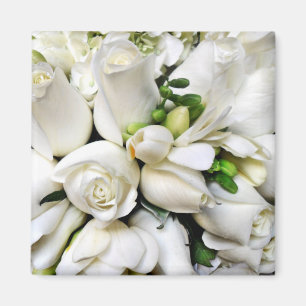 Weiße Rosen für jeden Anlass_ Magnet