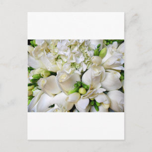 Weiße Rosen, glücklich_ Postkarte