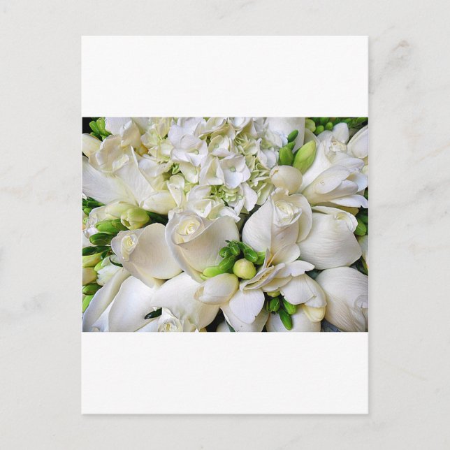 Weiße Rosen, glücklich_ Postkarte (Vorderseite)