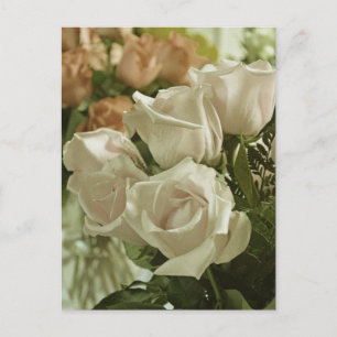 Weiße Rosen im Vintage-Druck auf Postkarte