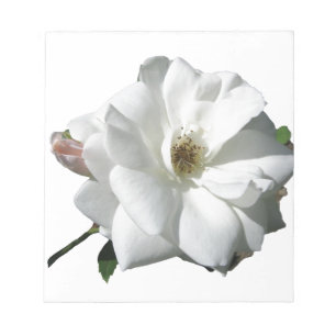 Weiße Rosen Party Dusche Hochzeit Blüten Schicksal Notizblock