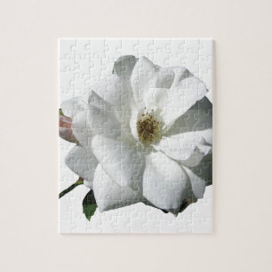 Weiße Rosen Party Dusche Hochzeit Blüten Schicksal Puzzle