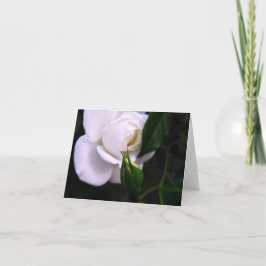 Weiße Rosen-und Rosen-Knospen-Anmerkungs-Karte Dankeskarte