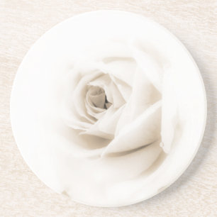 Weiße Rosenblume Getränkeuntersetzer