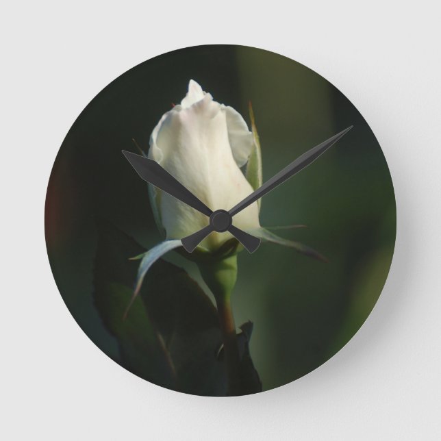 Weiße Rosenknospe Runde Wanduhr (Vorderseite)