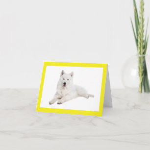 Weiße Samojeden-Welpen-Hund Leer Notiz Karte