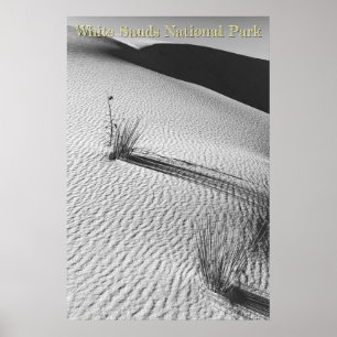 Weiße Sanddünen Landschaft Schwarz und Weiß Poster