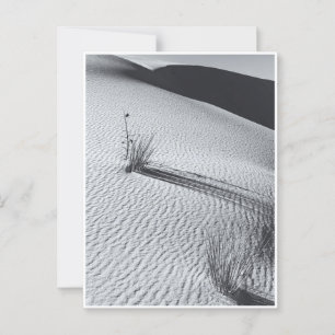 Weiße Sanddünen Landschaft Schwarz-Weiß Postkarte