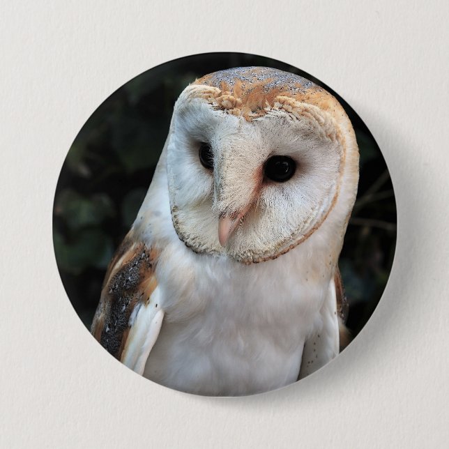 Weiße Schleiereule Button (Vorderseite)