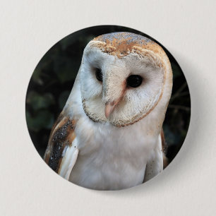 Weiße Schleiereule Button