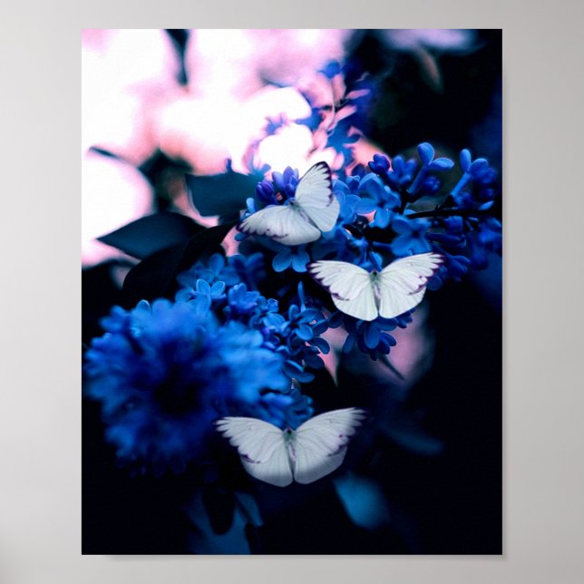 Weiße Schmetterlinge Blaue Blumen, Schmetterling Poster (Vorne)