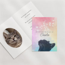Weiße Schmetterlinge Regenbogen-Katzen-Gedenkstätt