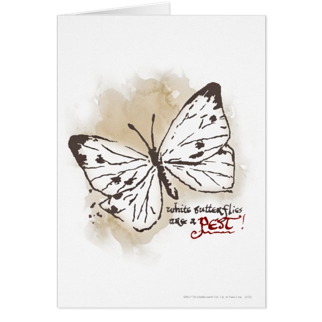 Weiße Schmetterlinge sind ein Schädling (Vorne)