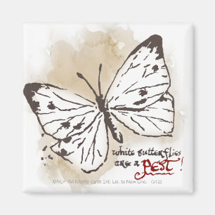 Weiße Schmetterlinge sind ein Schädling Magnet