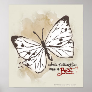 Weiße Schmetterlinge sind ein Schädling Poster