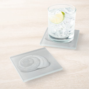 Weiße Schneckenschale Minimalistische Naturfotogra Glasuntersetzer