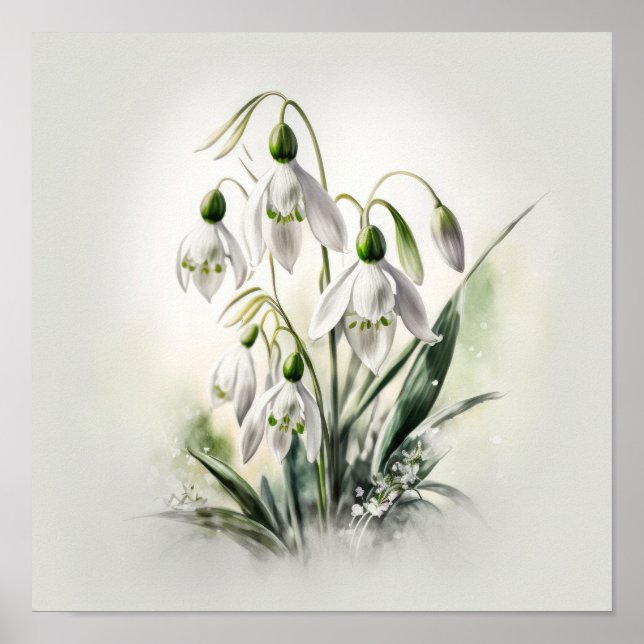 Weiße Schneeglöckchen-Blumen Kunstposter Poster (Vorne)