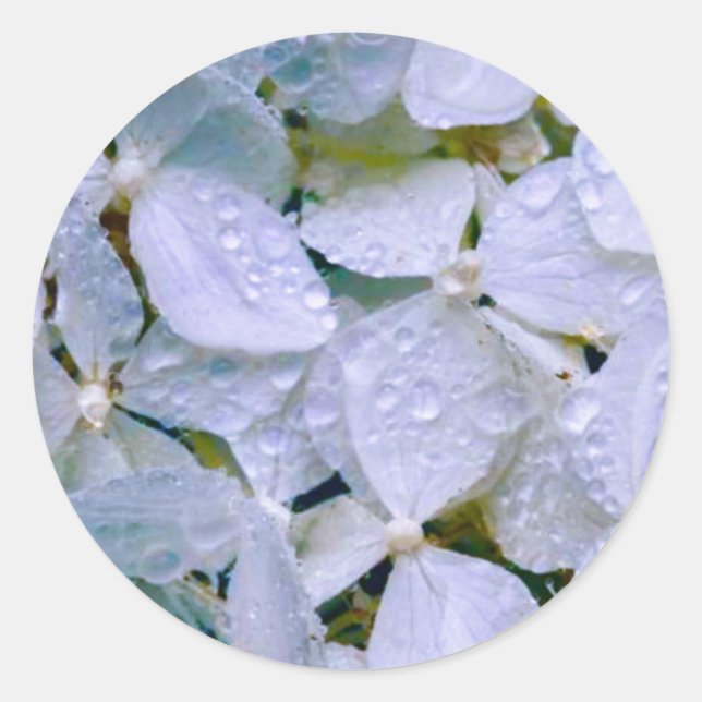 Weiße Schönheit Runder Aufkleber (Vorderseite)