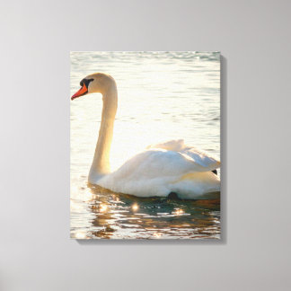 Weiße Schwäne am See Leinwanddruck