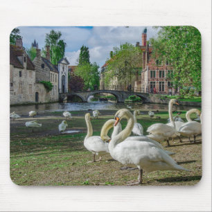 Weiße Schwäne in Brügge Mousepad