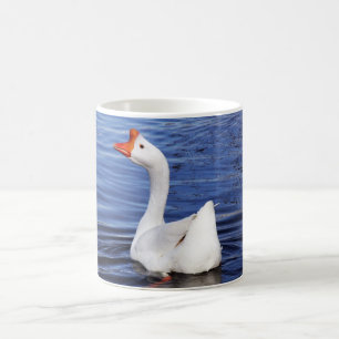 weiße Schwangans in blauem Wasser Tasse