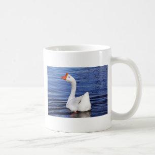 weiße Schwangans in blauem Wasser Tasse