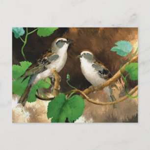 Weiße Schwänze Postkarte