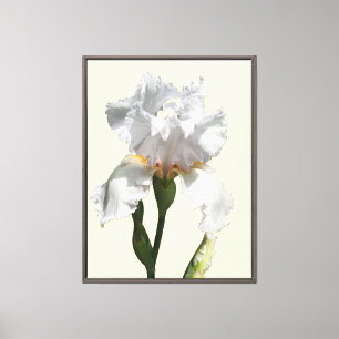Weiße Schwertlilien-Blumen-Leinwand-Foto-Kunst Leinwanddruck