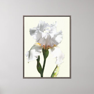 Weiße Schwertlilien-Blumen-Leinwand-Foto-Kunst Leinwanddruck