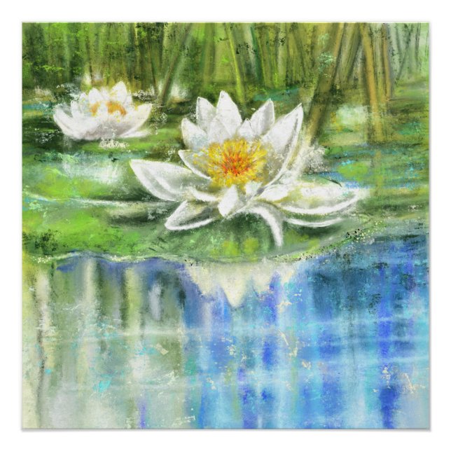 Weiße Seerose Nymphaea Alba Poster (Vorderseite)