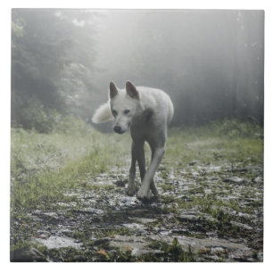 Weiße sibirische Keramik Tile Fliese