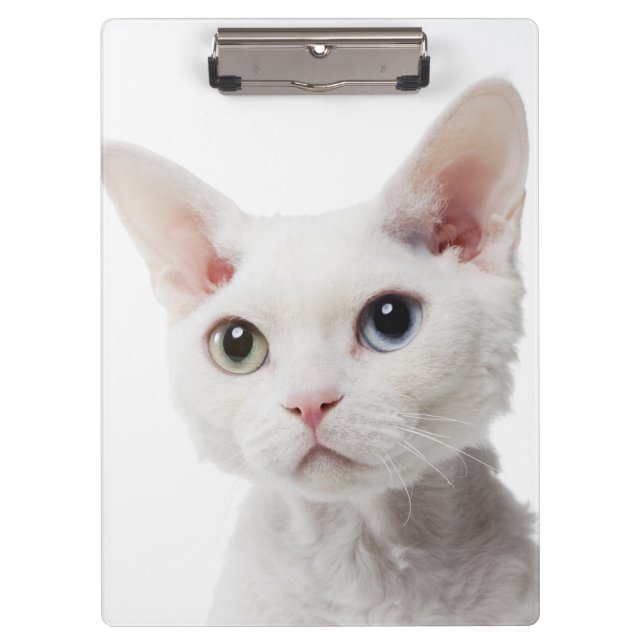 Weiße sonderbar-mit Augen Katze 2 Klemmbrett (Vorderseite)